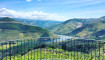 Visite de la vallée du Douro, Déjeuner, Visite d'un vignoble, balada en bateau