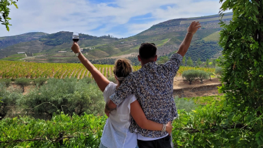 Private Tour to 2 Wineries with Wine Tasting, Picnic and Boat Trip