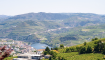 Tour Privado de Dia Inteiro no Vale do Douro Saindo do Porto