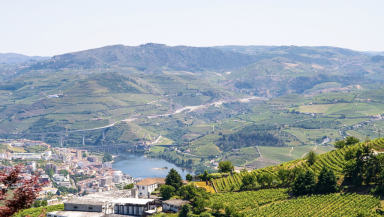 Excursion Privée d'une Journée dans la Vallée du Douro au Départ de Porto